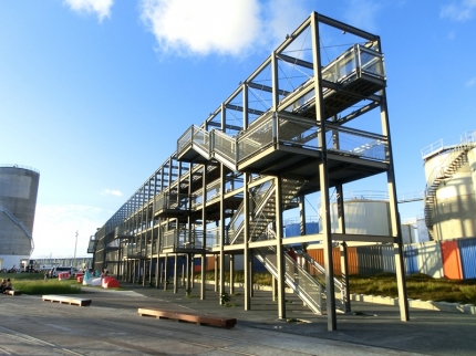 auckland (28)